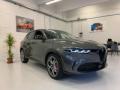 usato ALFA ROMEO Tonale