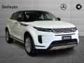 usato LAND ROVER Range Rover Evoque