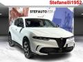 usato ALFA ROMEO Tonale