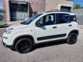 usato FIAT Panda