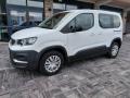 usato PEUGEOT Rifter
