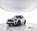 usato MINI Countryman