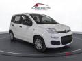 usato FIAT Panda