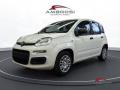 usato FIAT Panda