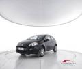 usato FIAT Punto