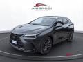 usato LEXUS Altro