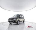 usato FIAT Panda