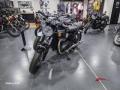 nuovo TRIUMPH Bonneville