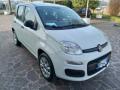 usato FIAT Panda