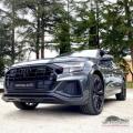 usato AUDI Q8