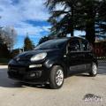 usato FIAT Panda