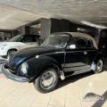 usato VOLKSWAGEN Maggiolino