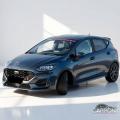usato FORD Fiesta