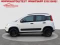 usato FIAT Panda