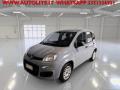 usato FIAT Panda