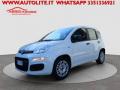 usato FIAT Panda