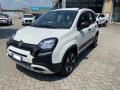 usato FIAT Panda