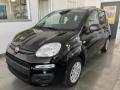 nuovo FIAT Panda