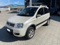 usato FIAT Panda