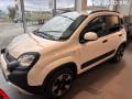usato FIAT Panda Cross