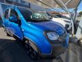 usato FIAT Panda Cross