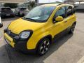 usato FIAT Panda Cross