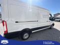 usato FORD Transit