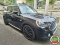 usato MINI Countryman