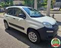 usato FIAT Panda