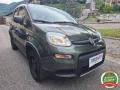 usato FIAT Panda