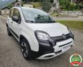 usato FIAT Panda