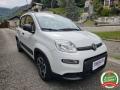 usato FIAT Panda
