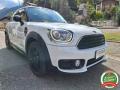 usato MINI Countryman