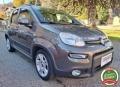 usato FIAT Panda