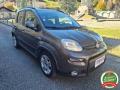 usato FIAT Panda