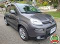 usato FIAT Panda