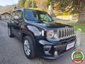 usato JEEP Renegade