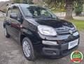 usato FIAT Panda
