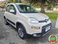 usato FIAT Panda