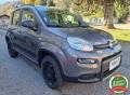 usato FIAT Panda