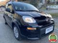usato FIAT Panda