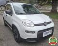 usato FIAT Panda