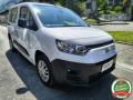 usato FIAT Doblo