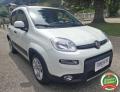 usato FIAT Panda