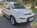 usato FIAT Panda