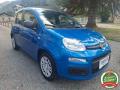 usato FIAT Panda