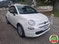 usato FIAT 500