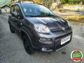 usato FIAT Panda