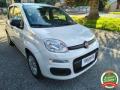 usato FIAT Panda