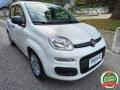 usato FIAT Panda